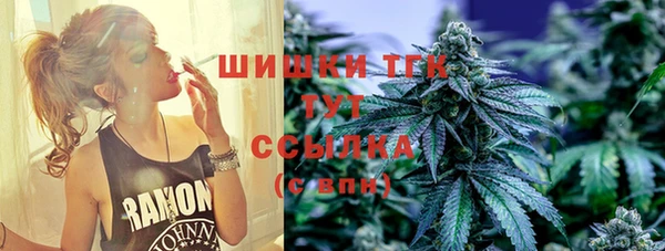 соль ск Богданович
