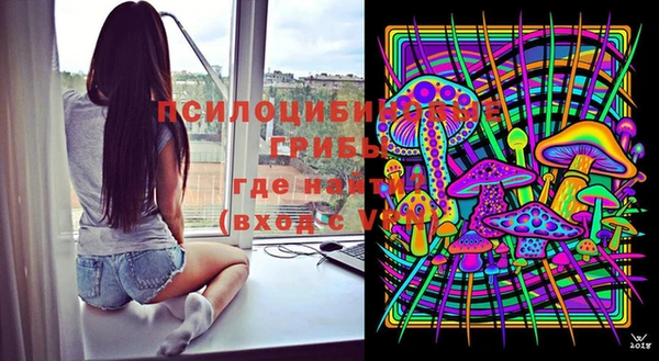каннабис Белокуриха