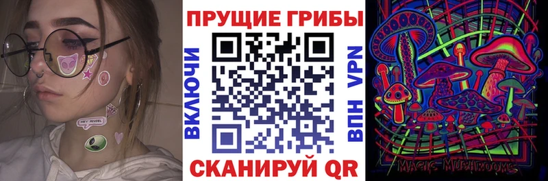 кракен онион  Севск  Псилоцибиновые грибы прущие грибы 